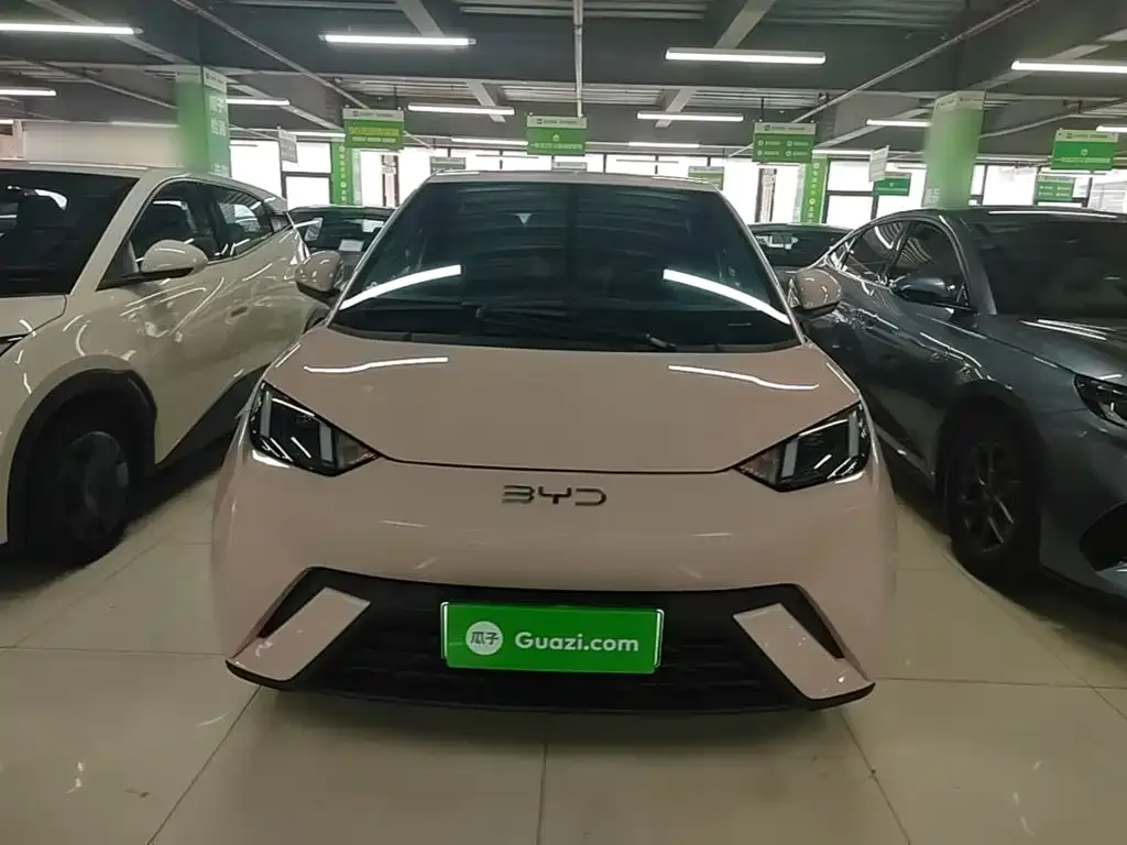 BYD Seagull 2025 305km Freedom — Фото автомобиля 2