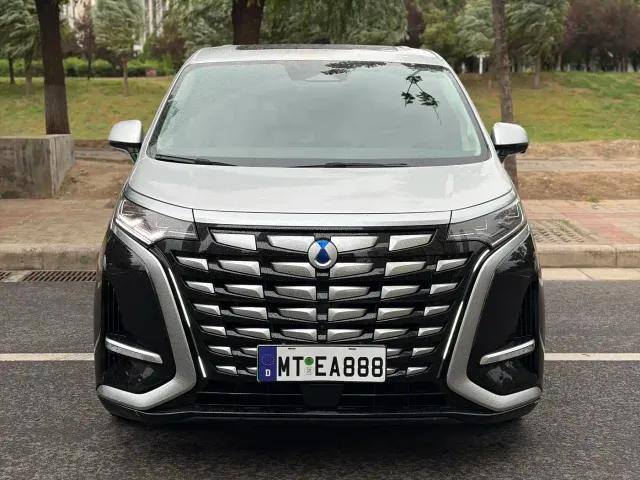 Denza D9 — Фото автомобиля 3