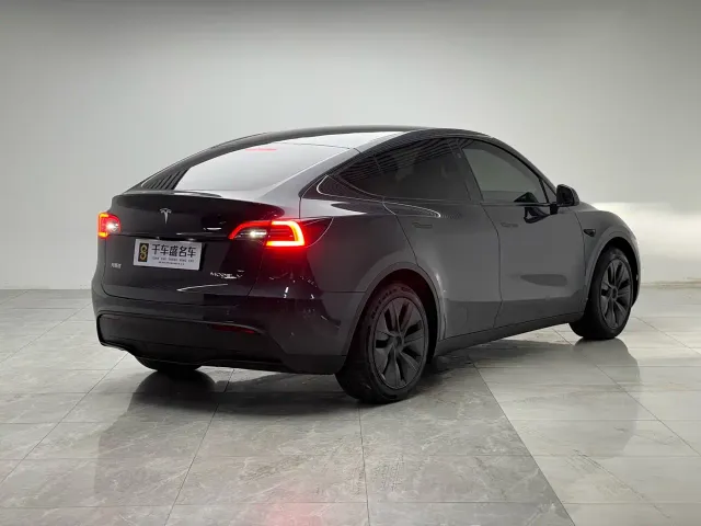 Tesla Model Y — Фото автомобиля 6