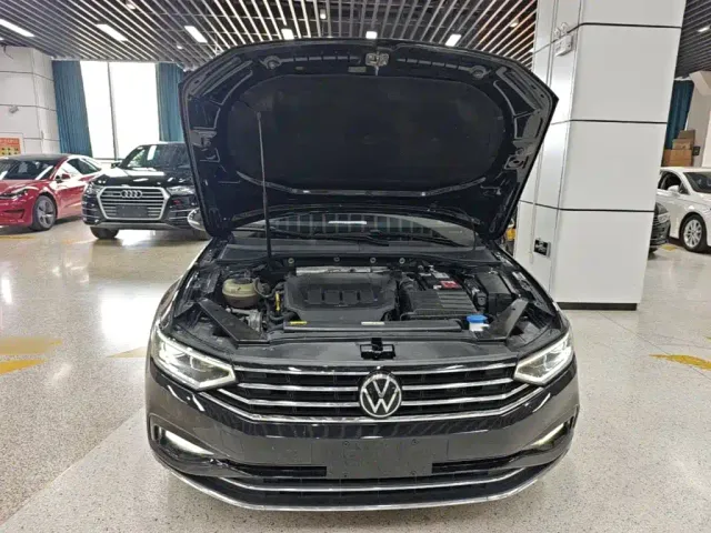 Volkswagen Magotan — Фото автомобиля 19