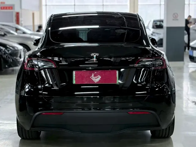 Tesla Model Y — Фото автомобиля 15