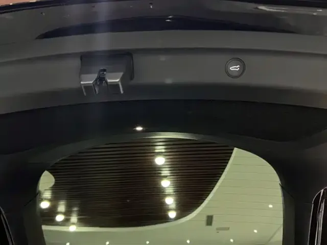 Tesla Model Y — Фото автомобиля 23