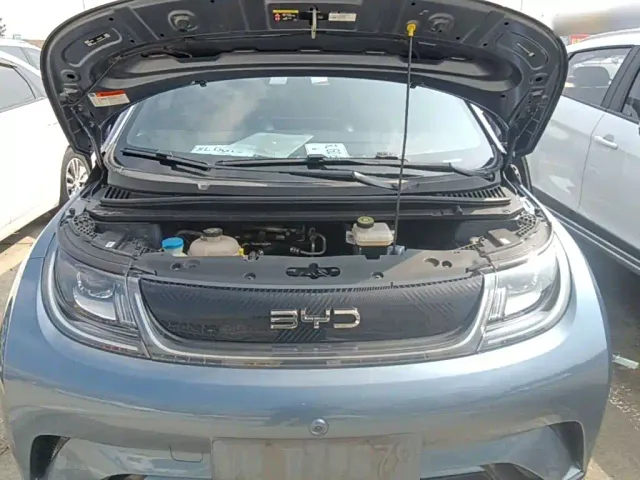 BYD Dolphin — Фото автомобиля 19