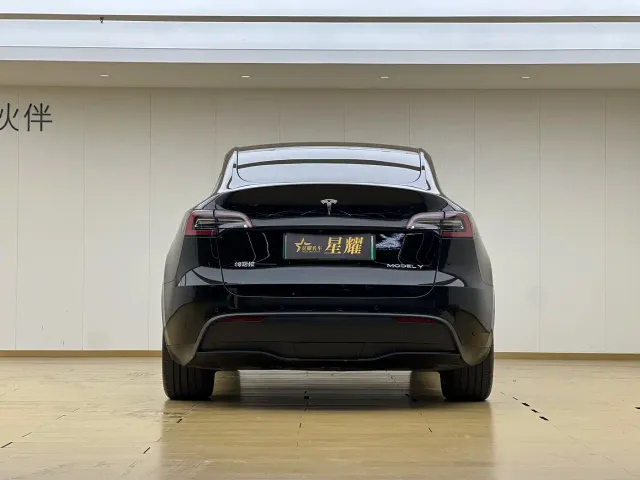 Tesla Model Y — Фото автомобиля 19