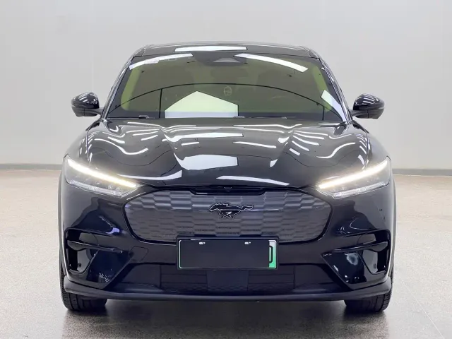 Ford Mustang Mach-E — Фото автомобиля 6