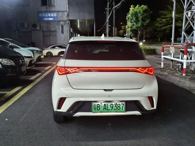 BYD Dolphin — Фото автомобиля 8