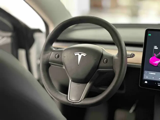 Tesla Model 3 — Фото автомобиля 14
