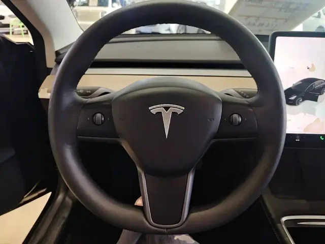Tesla Model 3 — Фото автомобиля 10