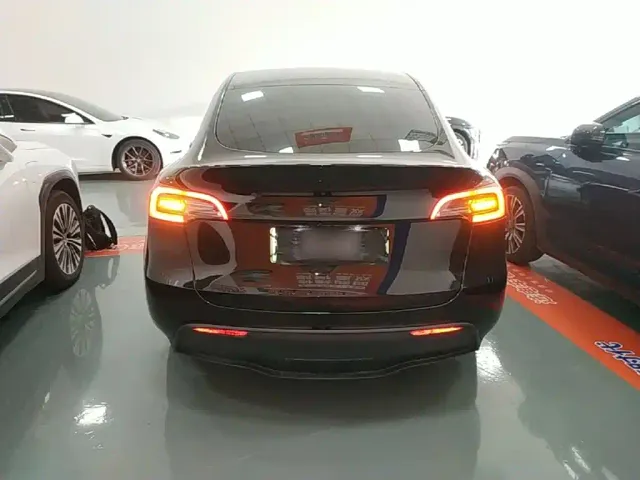 Tesla Model Y — Фото автомобиля 5