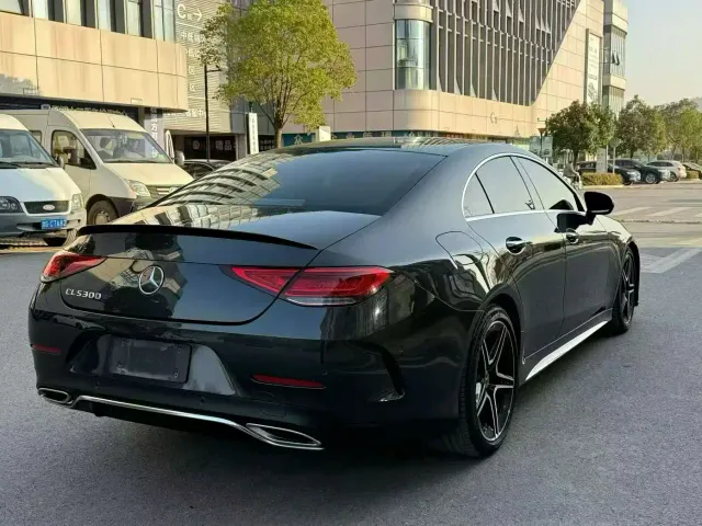 Mercedes-Benz CLS-Class — Фото автомобиля 4