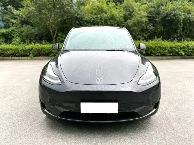 Tesla Model Y — Фото автомобиля 2