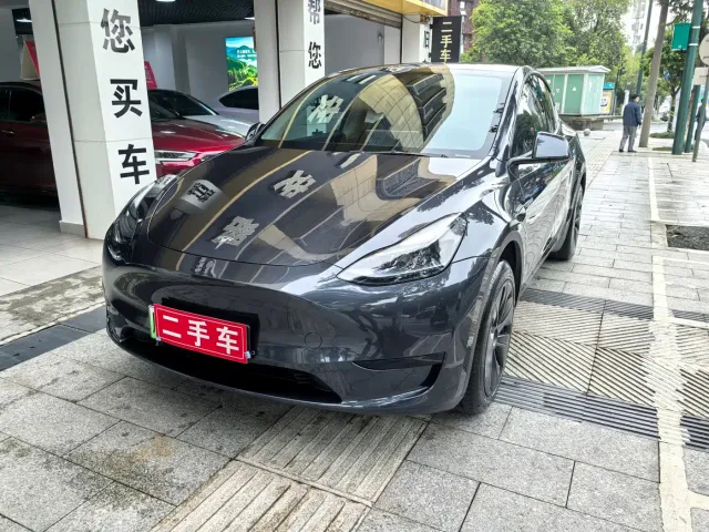 Tesla Model Y — Фото автомобиля 3