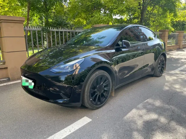Tesla Model Y — Фото автомобиля 2