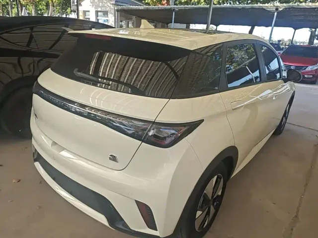 BYD Dolphin — Фото автомобиля 6