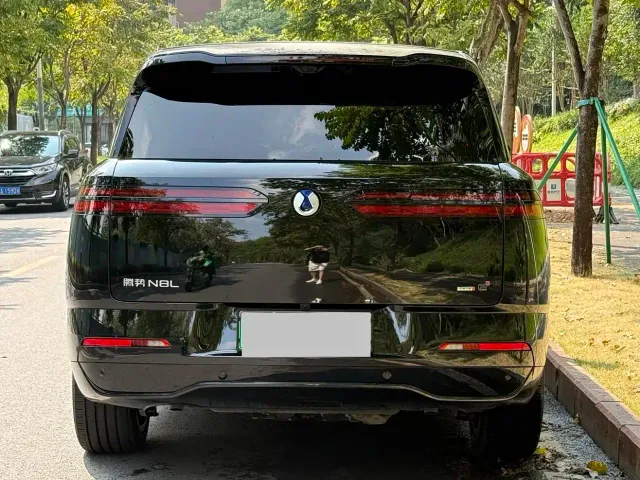 Denza N8L — Фото автомобиля 5