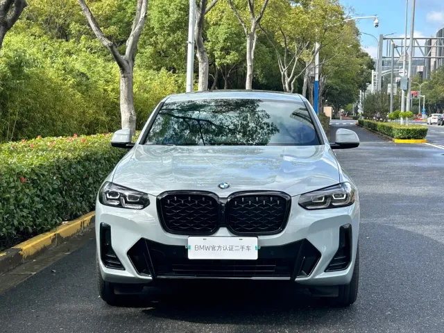 BMW X4 — Фото автомобиля 2