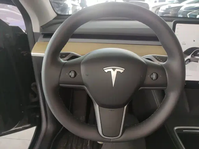 Tesla Model Y — Фото автомобиля 10