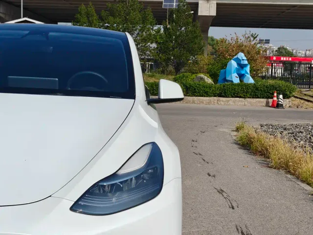 Tesla Model Y — Фото автомобиля 4