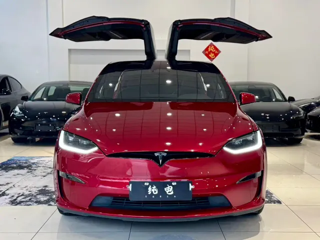 Tesla Model X — Фото автомобиля 2