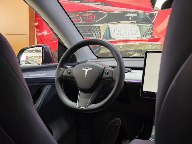Tesla Model Y — Фото автомобиля 10