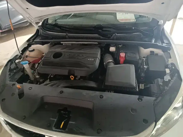 Geely Binrui 2021 1.4T CVT Asian Games Edition — Фото автомобиля 19