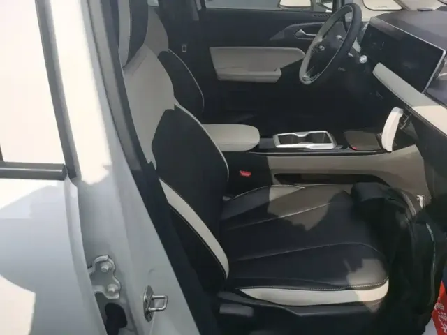 Geely Geometry E Firefly — Фото автомобиля 24