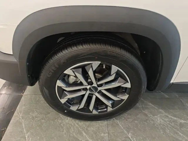 Haval Big Dog — Фото автомобиля 22