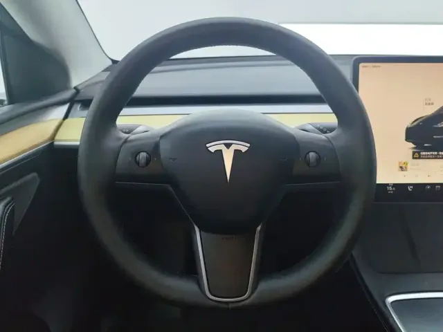 Tesla Model Y — Фото автомобиля 15