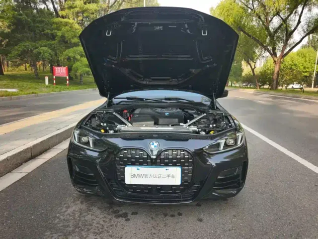 BMW 4 Series — Фото автомобиля 13