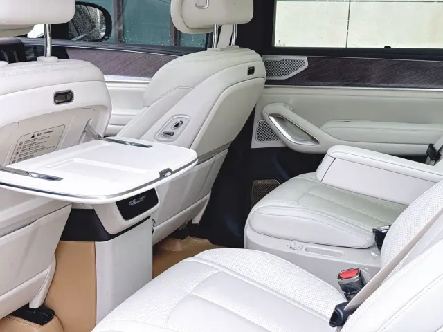 Denza N9 — Фото автомобиля 8