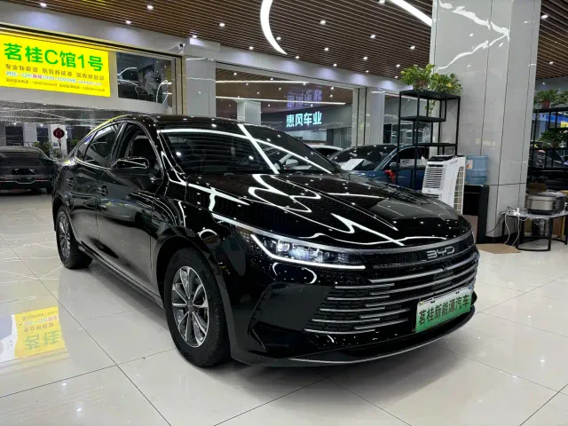 BYD Destroyer 05 — Фото автомобиля 3