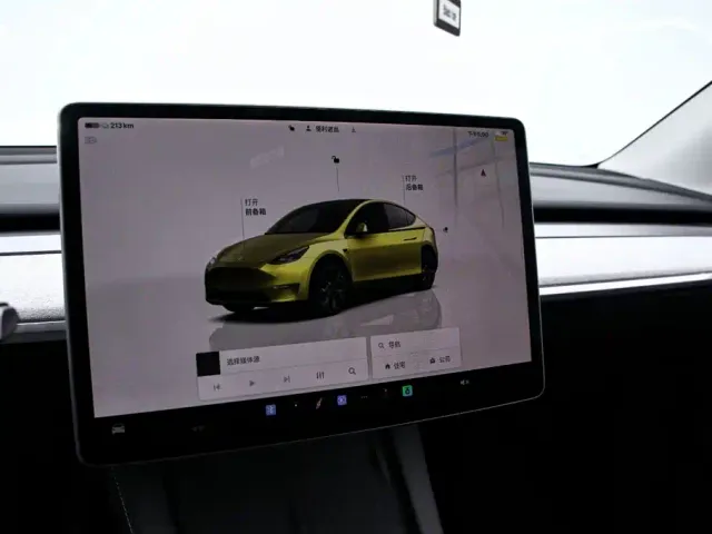 Tesla Model Y — Фото автомобиля 6