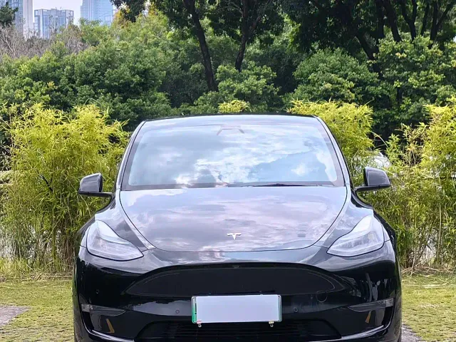 Tesla Model Y — Фото автомобиля 3