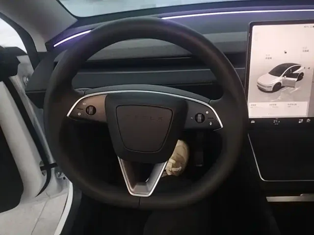 Tesla Model Y — Фото автомобиля 10