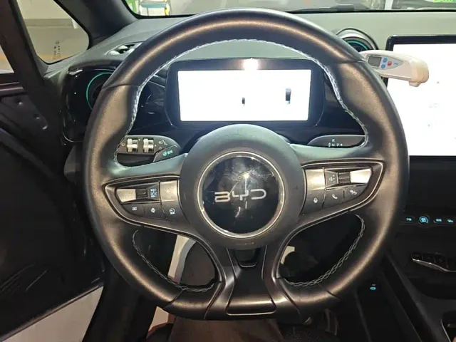 BYD Dolphin — Фото автомобиля 10