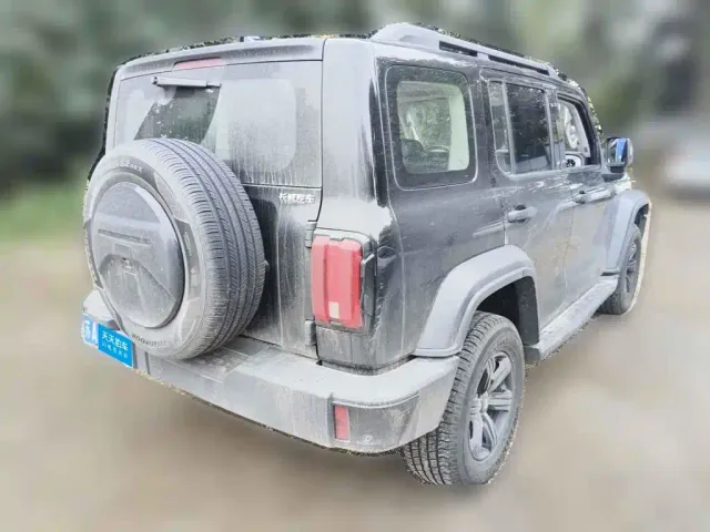 Tank Tank 300 2024 Model 2.0T Challenger — Фото автомобиля 2
