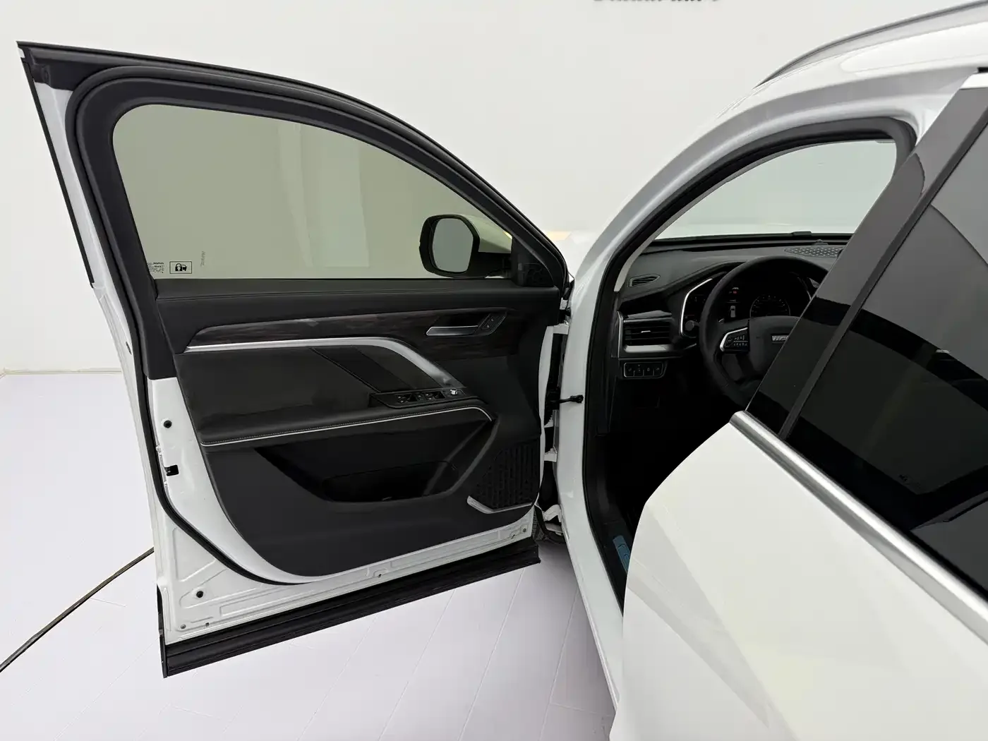 Haval Haval H6 2021 National Trend Edition 1.5T Automatic Urban Edition — Фото автомобиля 23