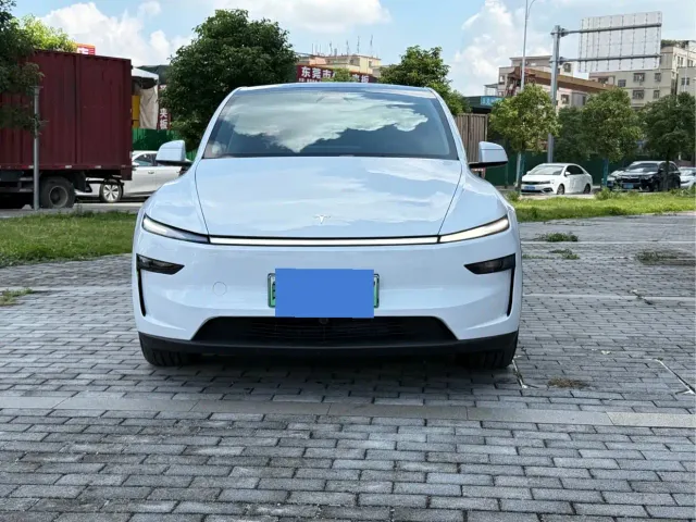 Tesla Model Y — Фото автомобиля 2