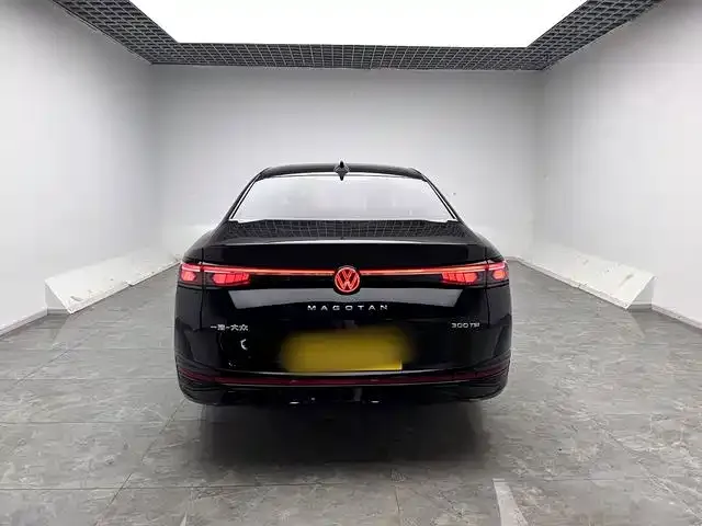 Volkswagen Magotan — Фото автомобиля 12