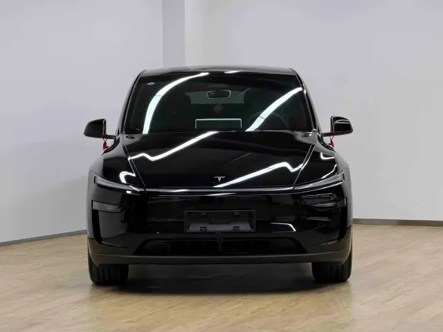 Tesla Model Y — Фото автомобиля 2