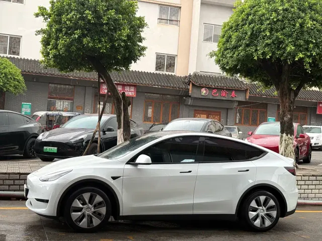 Tesla Model Y — Фото автомобиля 4