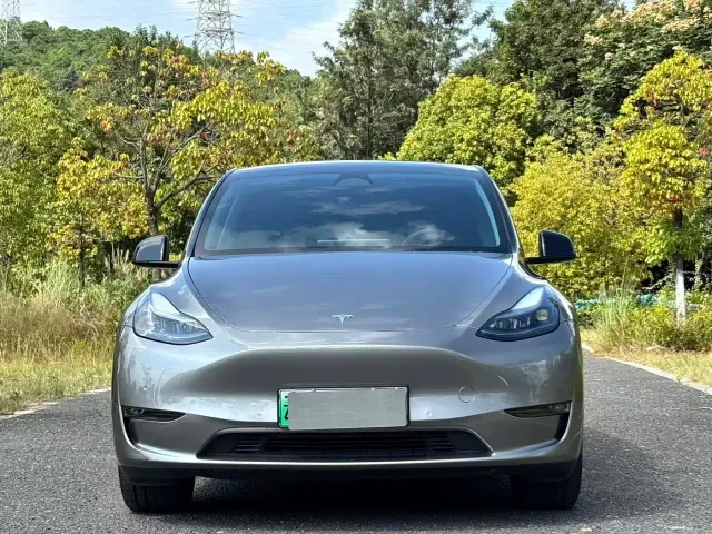 Tesla Model Y — Фото автомобиля 2