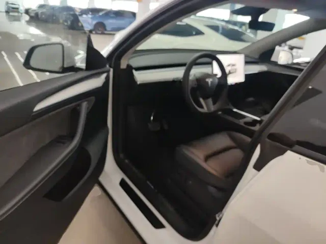Tesla Model Y — Фото автомобиля 15