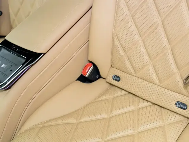 Mercedes-Benz Maybach S-Class — Фото автомобиля 20