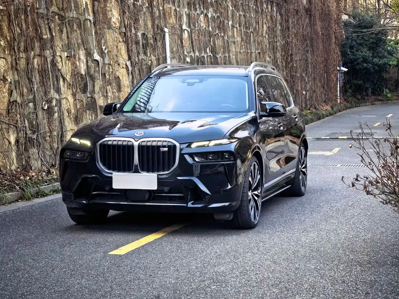 Фотография автомобиля — BMW X7