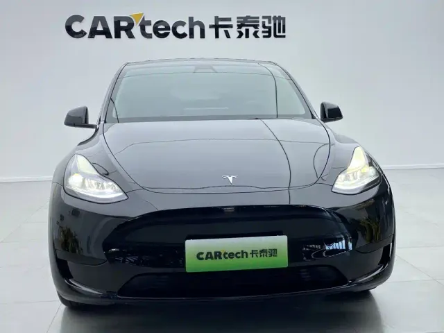 Tesla Model Y — Фото автомобиля 10