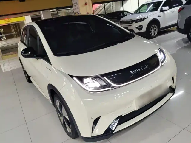 BYD Dolphin — Фото автомобиля 21