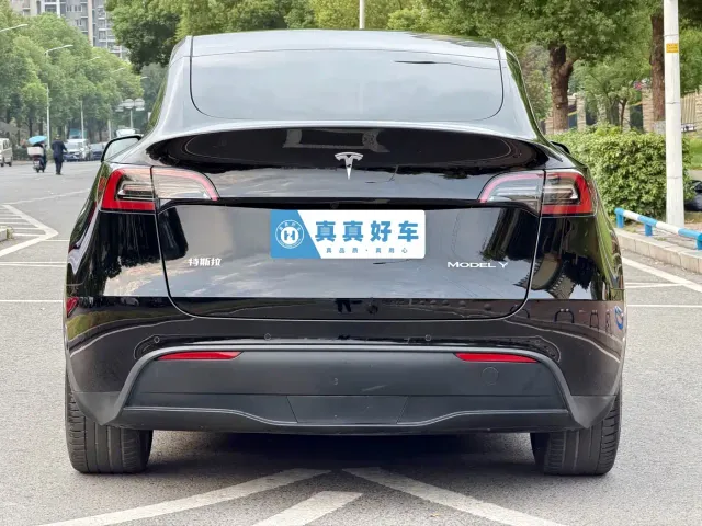 Tesla Model Y — Фото автомобиля 5