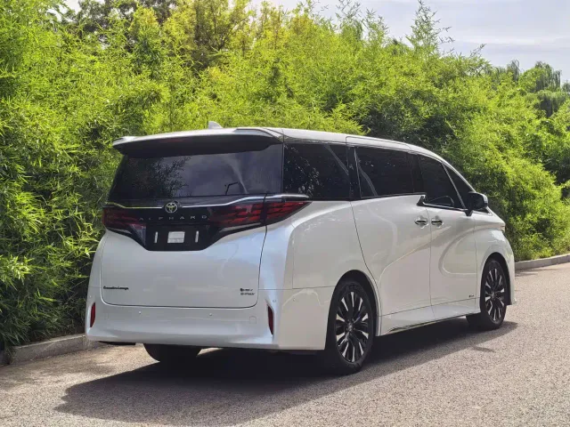 Toyota Alphard — Фото автомобиля 12