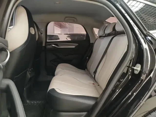 BYD Destroyer 05 2024 Glory Edition DM-i 55KM Luxury — Фото автомобиля 16
